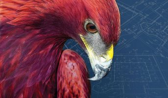 EagleView